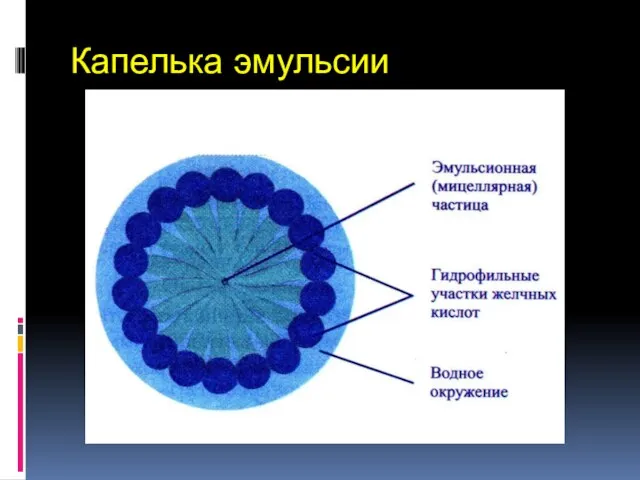 Капелька эмульсии