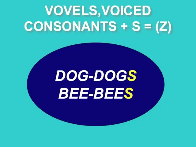 VOVELS,VOICED CONSONANTS + S = (Z) DOG-DOGS BEE-BEES