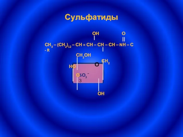 Сульфатиды