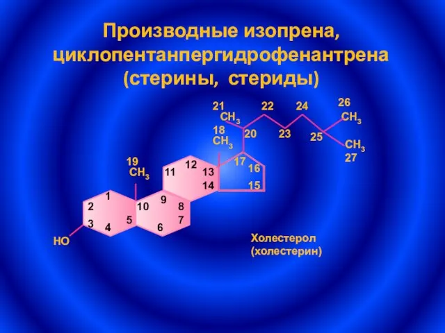 Производные изопрена, циклопентанпергидрофенантрена (стерины, стериды) 24 22 21 26