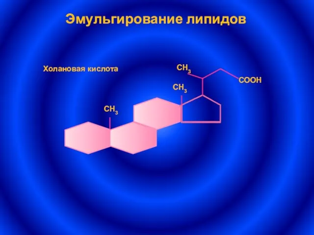 Эмульгирование липидов