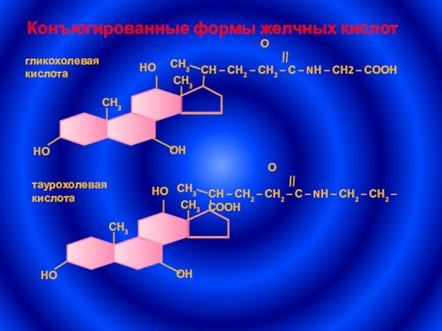 Конъюгированные формы желчных кислот