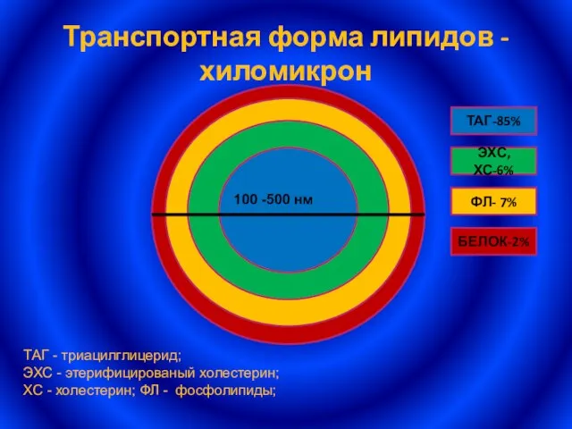 Транспортная форма липидов - хиломикрон БЕЛОК-2% ТАГ-85% ЭХС, ХС-6% ФЛ- 7% 100