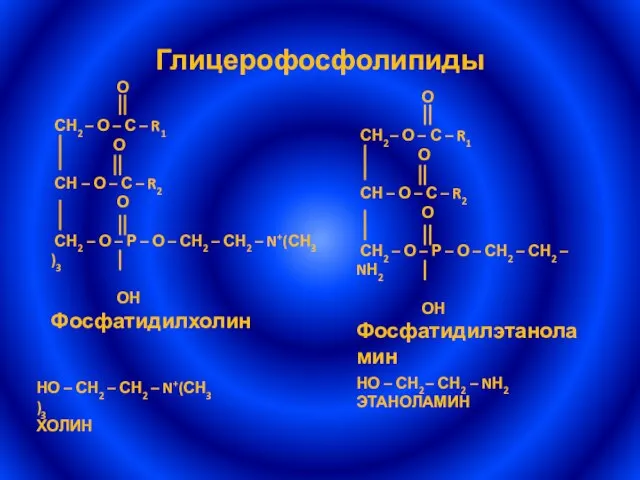 Глицерофосфолипиды НО – СН2 – СН2 – NН2 ЭТАНОЛАМИН НО – СН2