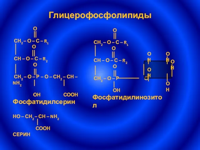 Глицерофосфолипиды НО – СН2 – СН – NН2 СООН СЕРИН