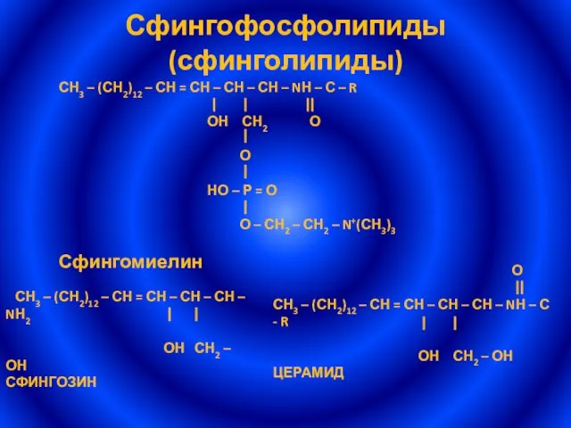 Сфингофосфолипиды (сфинголипиды)