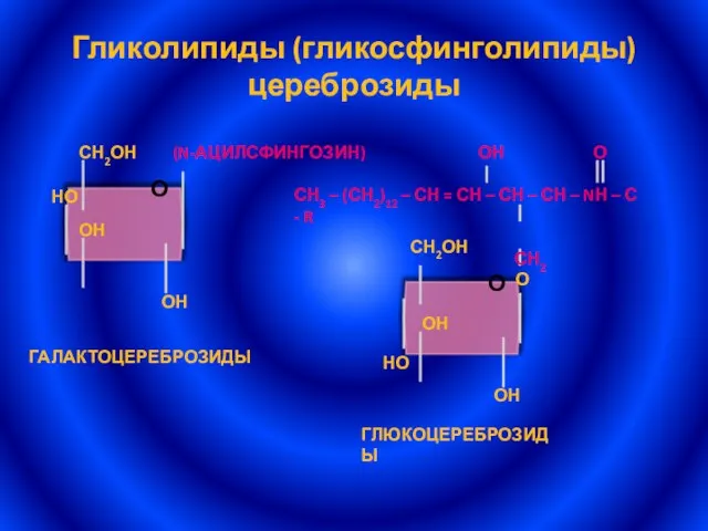 Гликолипиды (гликосфинголипиды) цереброзиды