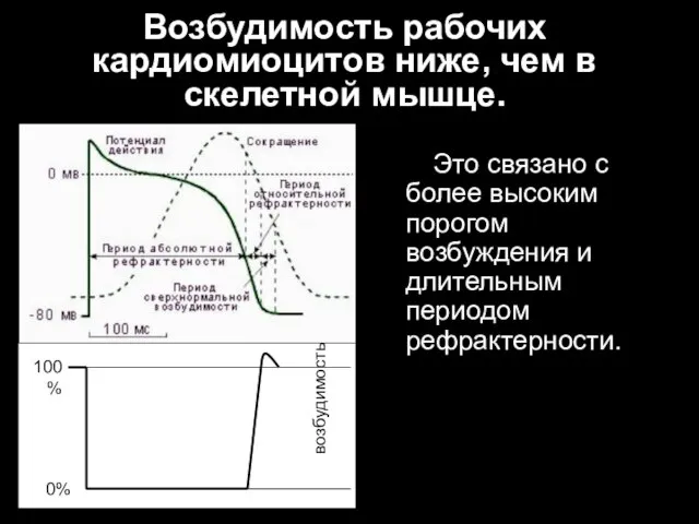 Это связано с более высоким порогом возбуждения и длительным периодом рефрактерности. Возбудимость