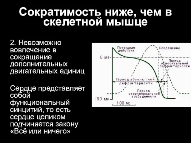 Сократимость ниже, чем в скелетной мышце 2. Невозможно вовлечение в сокращение дополнительных