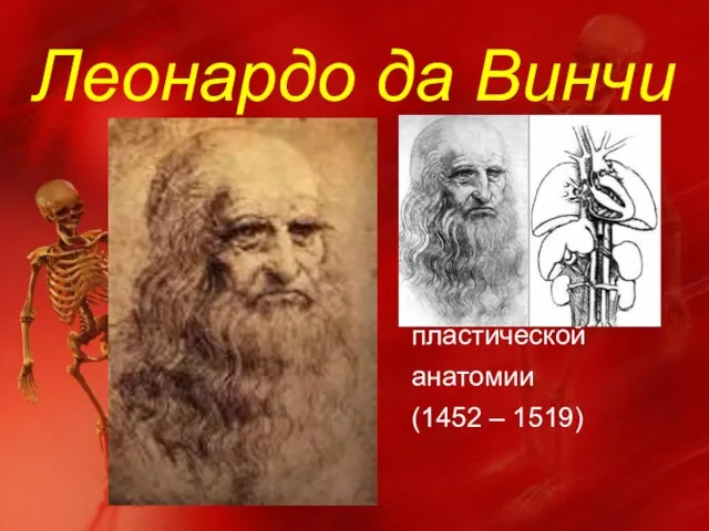 Леонардо да Винчи Художник, основоположник пластической анатомии (1452 – 1519)