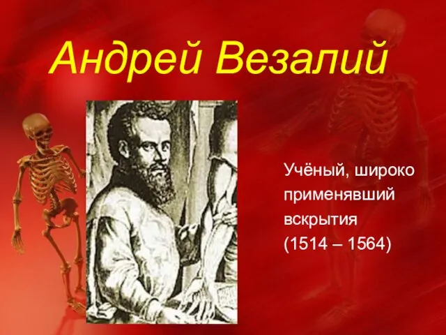 Андрей Везалий Учёный, широко применявший вскрытия (1514 – 1564)