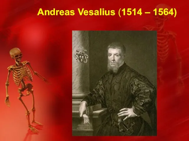 Andreas Vesalius (1514 – 1564)