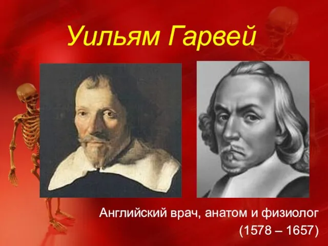 Уильям Гарвей Английский врач, анатом и физиолог (1578 – 1657)