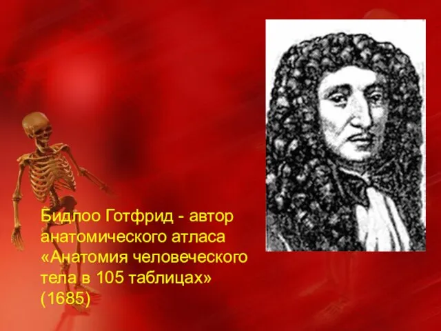 Бидлоо Готфрид - автор анатомического атласа «Анатомия человеческого тела в 105 таблицах» (1685)