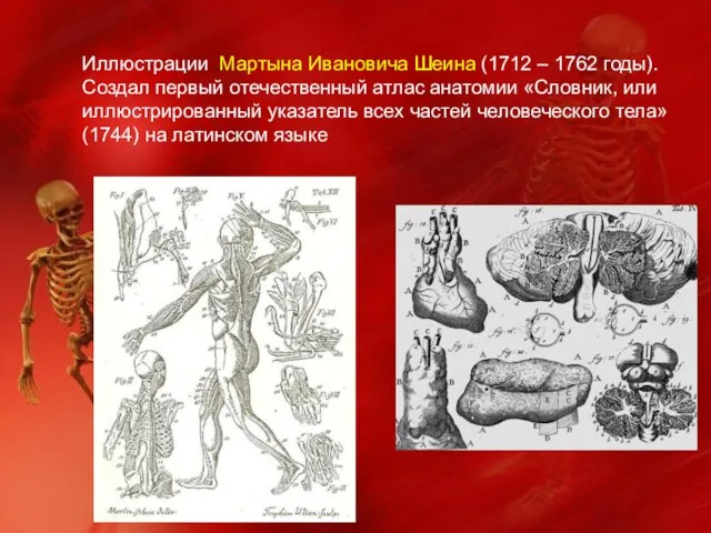 Иллюстрации Мартына Ивановича Шеина (1712 – 1762 годы). Создал первый отечественный атлас