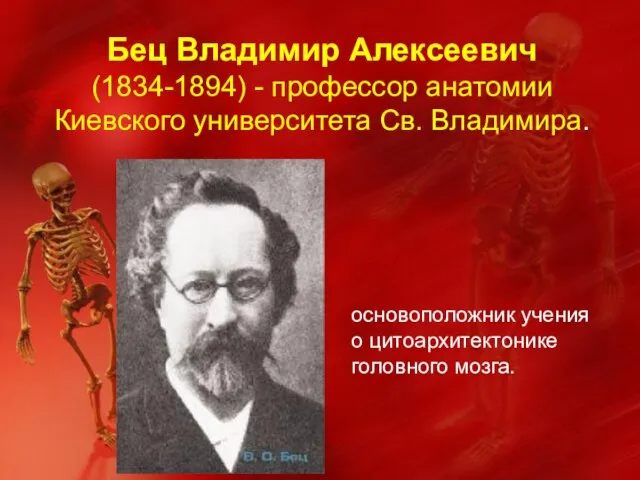 Бец Владимир Алексеевич (1834-1894) - профессор анатомии Киевского университета Св. Владимира. основоположник