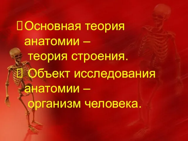 Основная теория анатомии – теория строения. Объект исследования анатомии – организм человека.