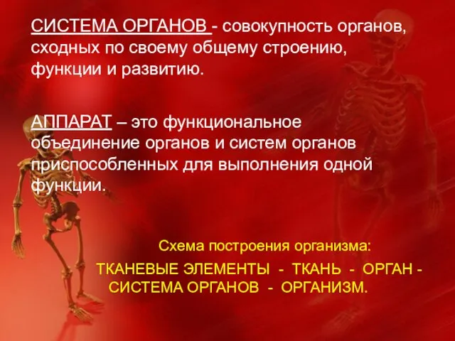 СИСТЕМА ОРГАНОВ - совокупность органов, сходных по своему общему строению, функции и