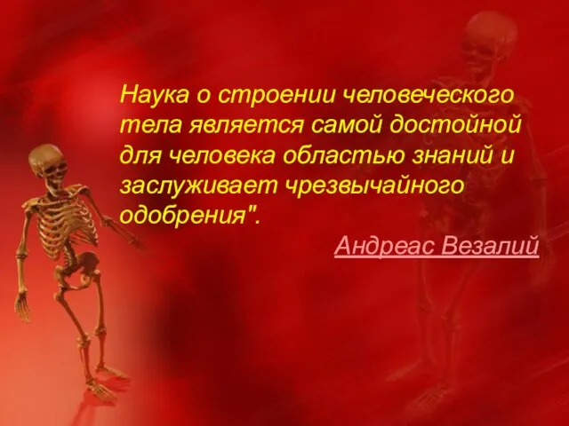 Наука о строении человеческого тела является самой достойной для человека областью знаний