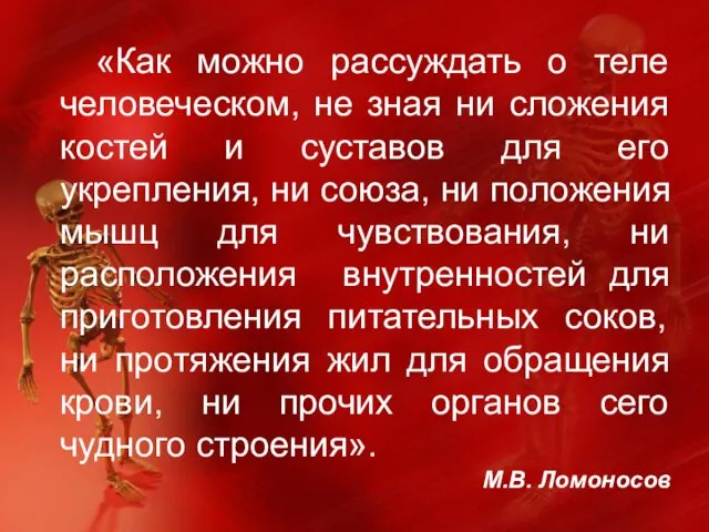 «Как можно рассуждать о теле человеческом, не зная ни сложения костей и