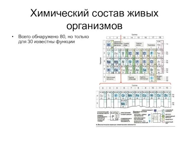 Химический состав живых организмов Всего обнаружено 80, но только для 30 известны функции