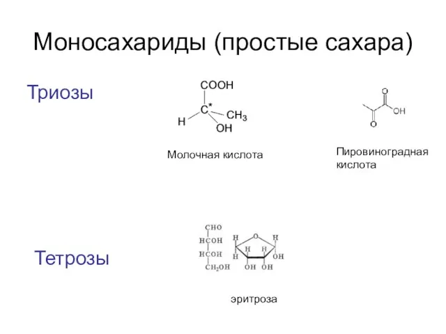 Моносахариды (простые сахара) Триозы Молочная кислота Пировиноградная кислота Тетрозы эритроза