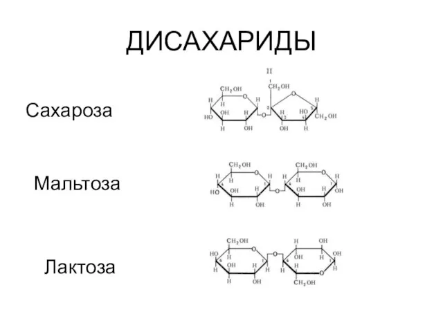 ДИСАХАРИДЫ Сахароза Мальтоза Лактоза