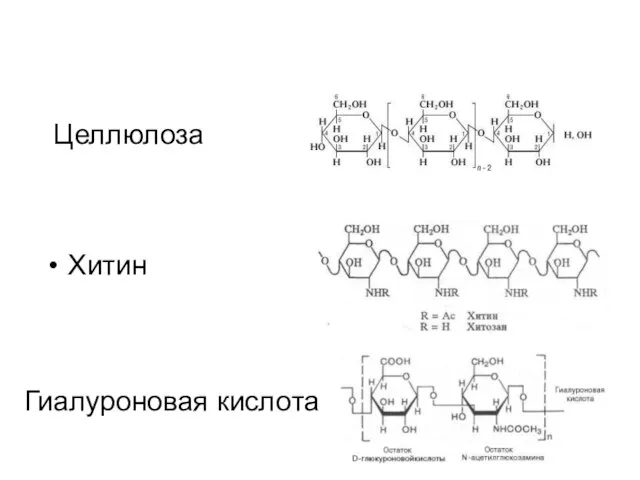 Целлюлоза Хитин Гиалуроновая кислота