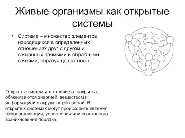 Живые организмы как открытые системы Система – множество элементов, находящихся в определенных