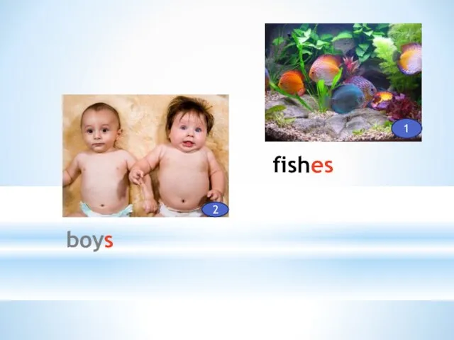 fishes boys 1 2