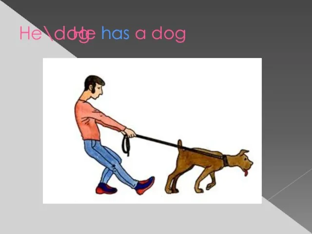 He\dog He has a dog