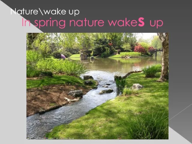 In spring nature wakes up Nature\wake up
