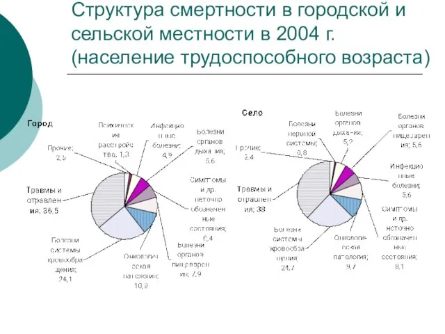 Структура смертности в городской и сельской местности в 2004 г. (население трудоспособного возраста)