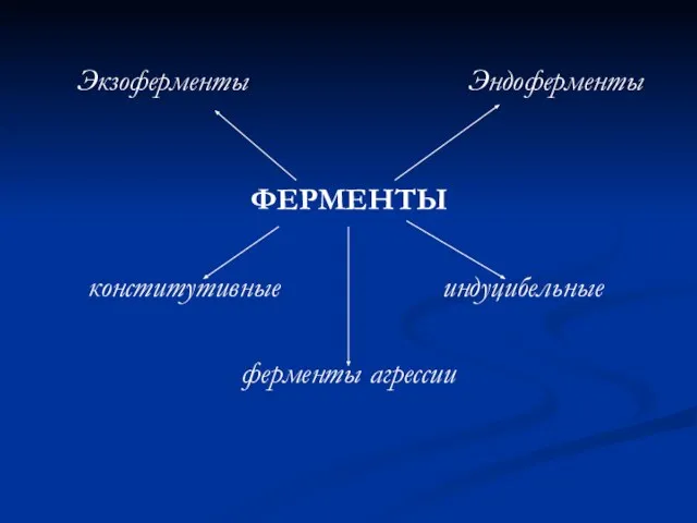 Экзоферменты Эндоферменты ФЕРМЕНТЫ конститутивные индуцибельные ферменты агрессии