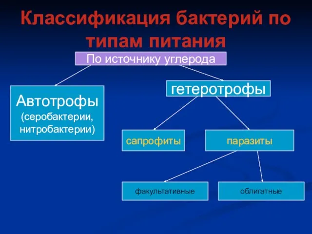 Классификация бактерий по типам питания По источнику углерода Автотрофы (серобактерии, нитробактерии) гетеротрофы сапрофиты паразиты факультативные облигатные