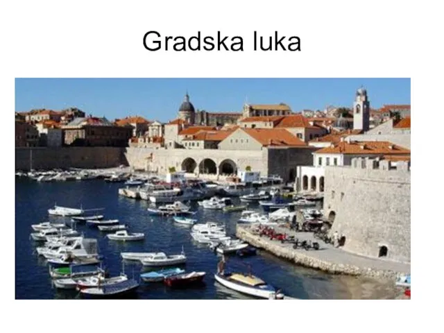 Gradska luka