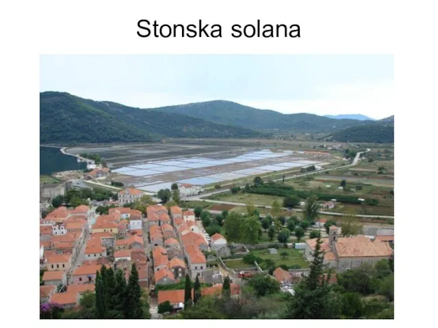 Stonska solana