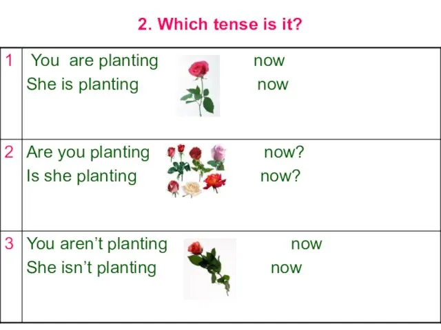 2. Which tense is it?