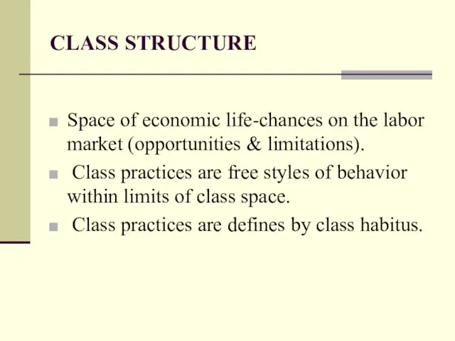 CLASS STRUCTURE Space of economic life-chances on the labor market (opportunities &