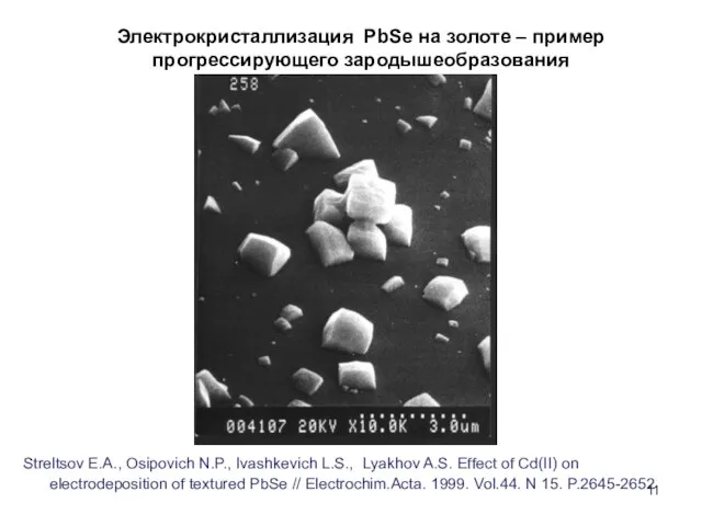 Электрокристаллизация PbSe на золоте – пример прогрессирующего зародышеобразования Streltsov E.A., Osipovich N.P.,