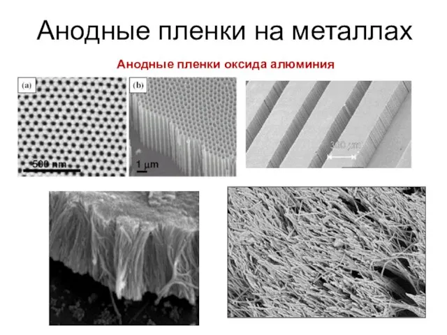 Анодные пленки на металлах Анодные пленки оксида алюминия