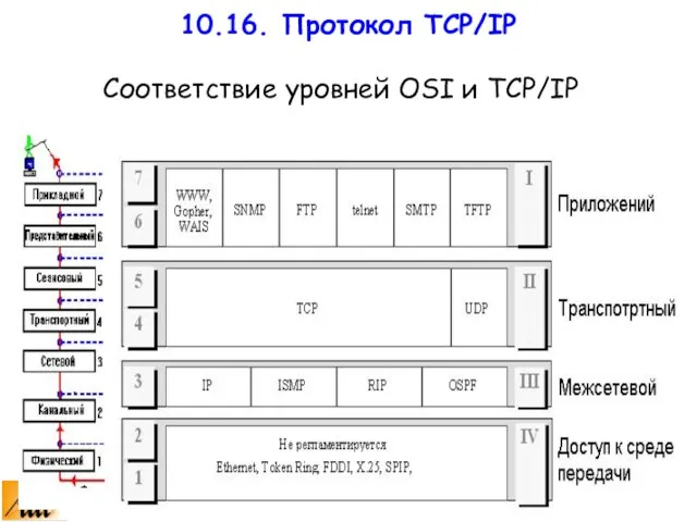 Соответствие уровней OSI и TCP/IP 10.16. Протокол TCP/IP