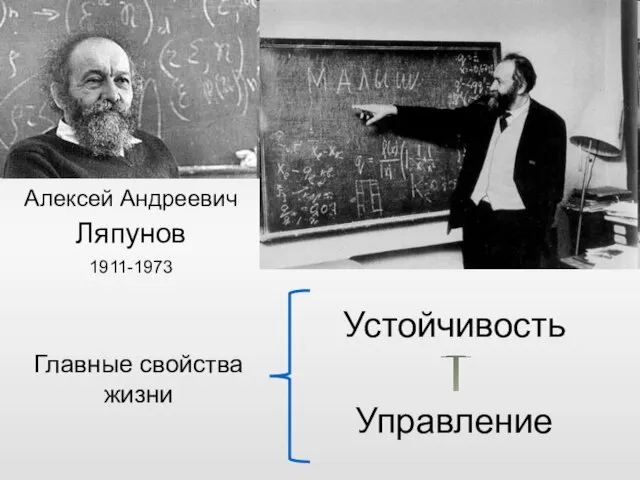 Алексей Андреевич Ляпунов 1911-1973 Главные свойства жизни