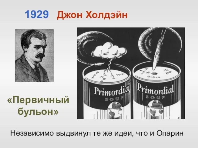 Независимо выдвинул те же идеи, что и Опарин 1929 Джон Холдэйн «Первичный бульон»