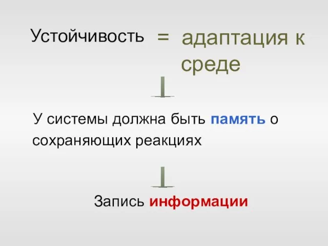 Устойчивость У системы должна быть память о сохраняющих реакциях = адаптация к среде Запись информации