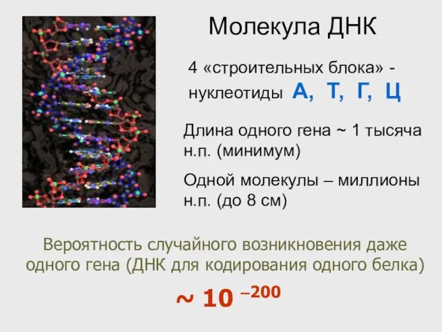 Вероятность случайного возникновения даже одного гена (ДНК для кодирования одного белка) ~