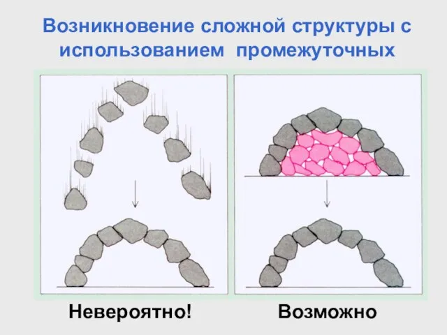 Возникновение сложной структуры с использованием промежуточных Невероятно! Возможно