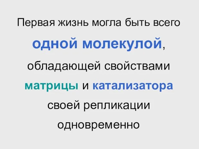 Первая жизнь могла быть всего одной молекулой, обладающей свойствами матрицы и катализатора своей репликации одновременно