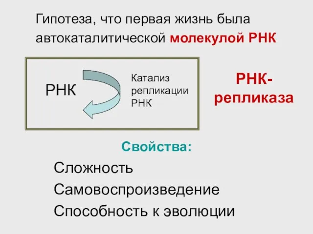 Гипотеза, что первая жизнь была автокаталитической молекулой РНК Свойства: Сложность Самовоспроизведение Способность к эволюции РНК-репликаза