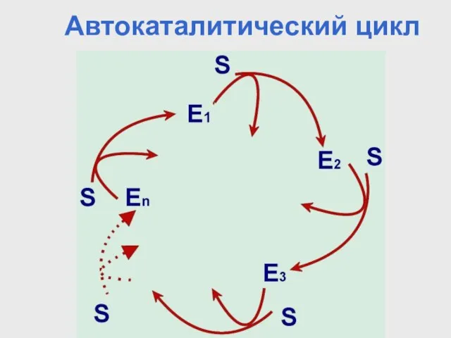 Автокаталитический цикл